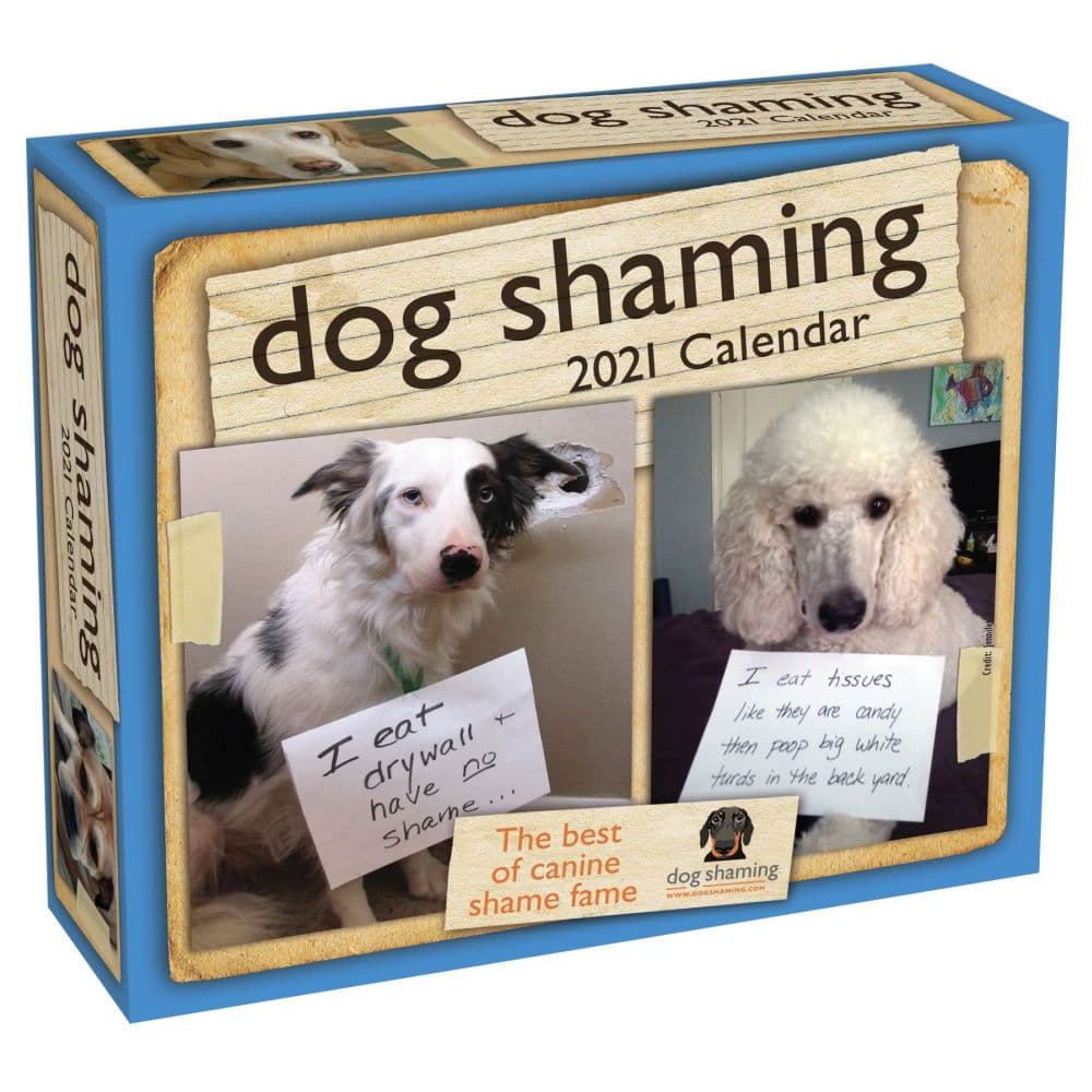 Dog Shaming Desk Calendar Calendars