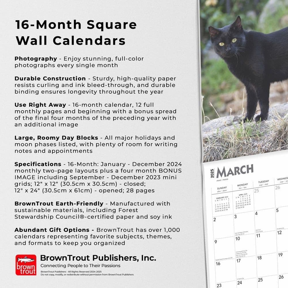 Black Cats 2025 Wall Calendar Fifth Alternate Image