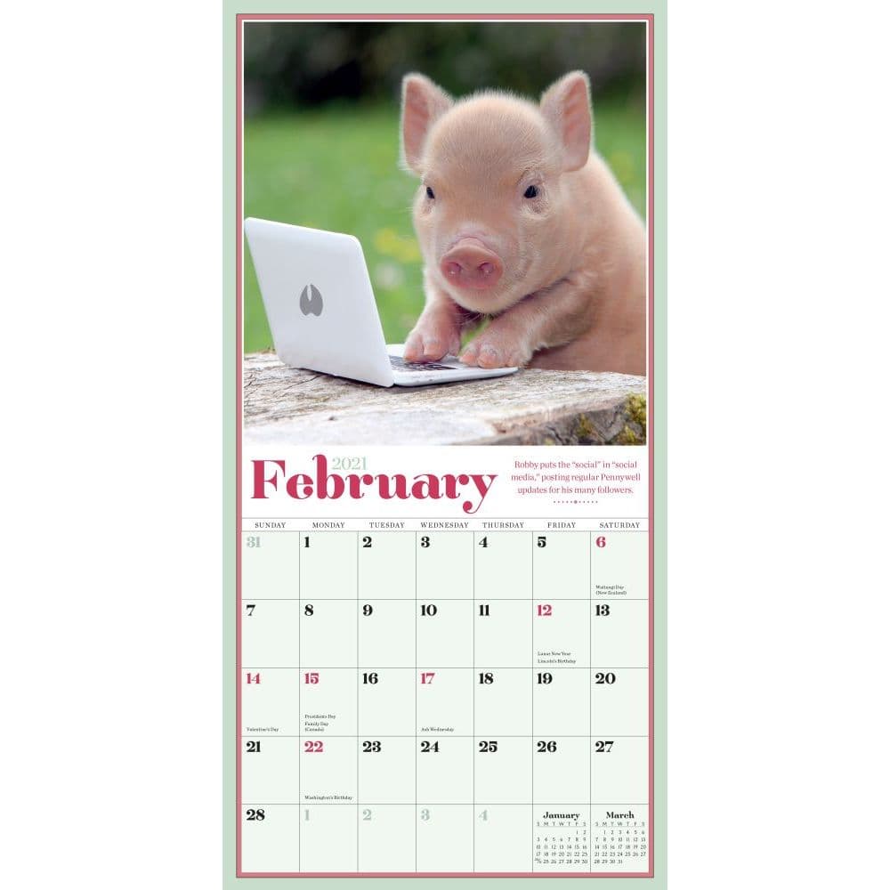 Pocket Pigs Mini Wall Calendar