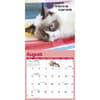 image Grumpy Cat 2025 Mini Wall Calendar Third Alternate Image width=&quot;1000&quot; height=&quot;1000&quot;