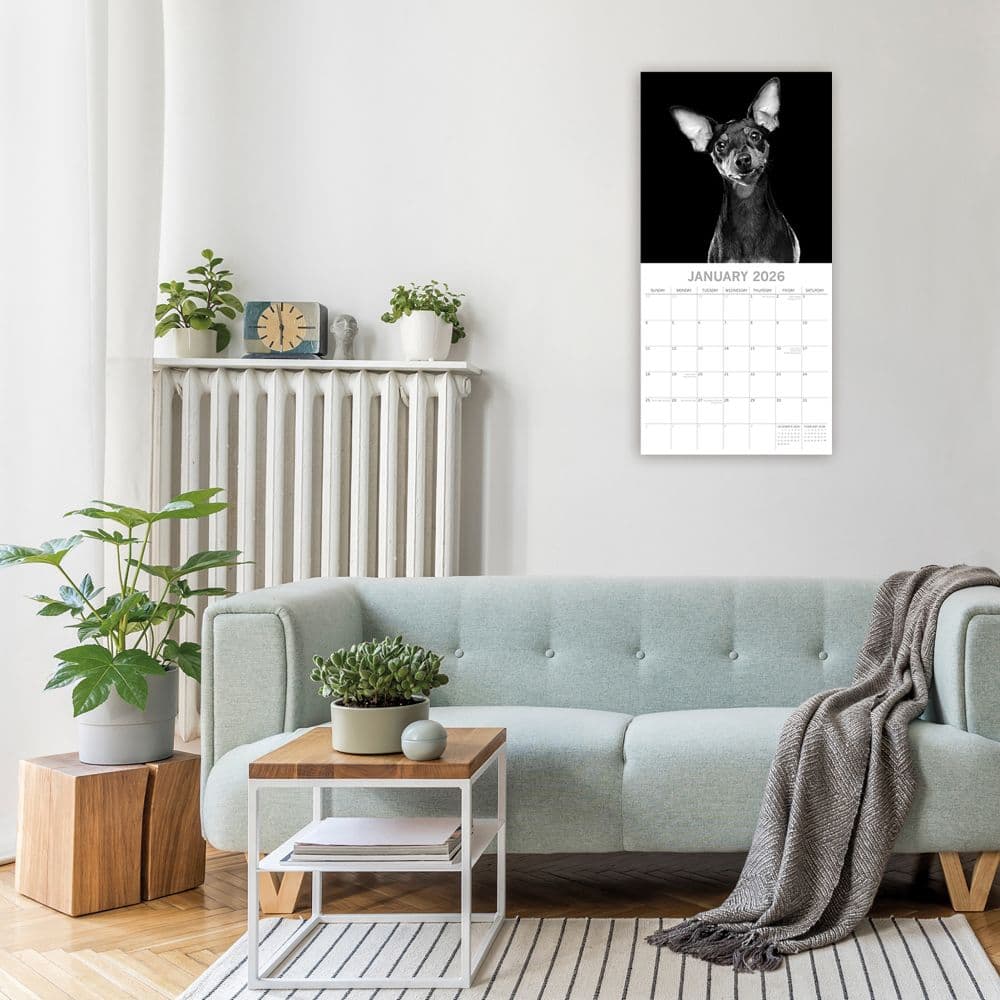 Dog Portraits 2026 Wall Calendar Second Alternate Image