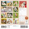 image Bulldog Puppies 2026 Mini Wall Calendar First Alternate Image