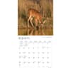 image Texas Nature 2024 Wall Calendar Second Alternate  Image width=&quot;1000&quot; height=&quot;1000&quot;
