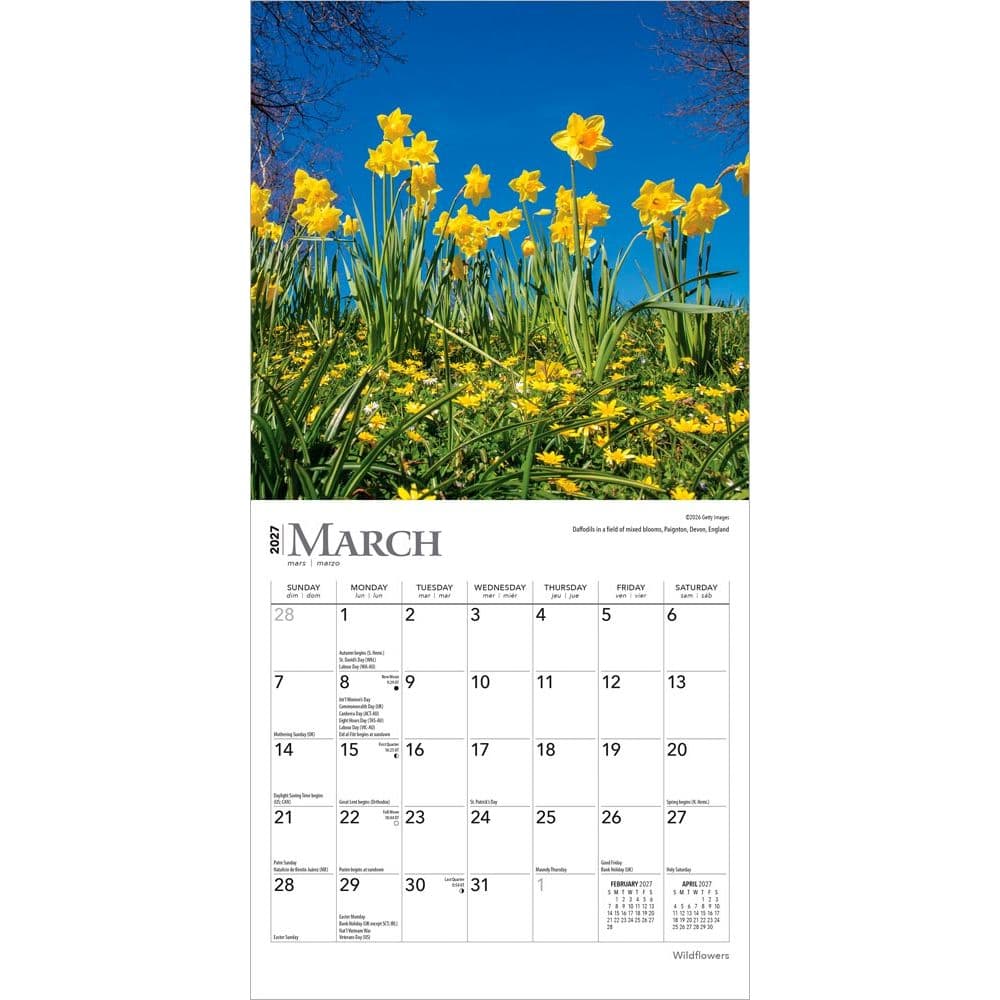 Wildflowers 2027 Mini Wall Calendar Second Alternate Image