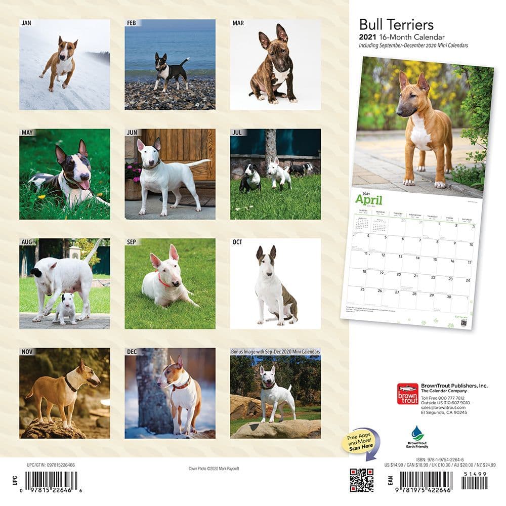 BULL TERRIER Hund dog Magnet Kalender 2020 calendar MAGNET 