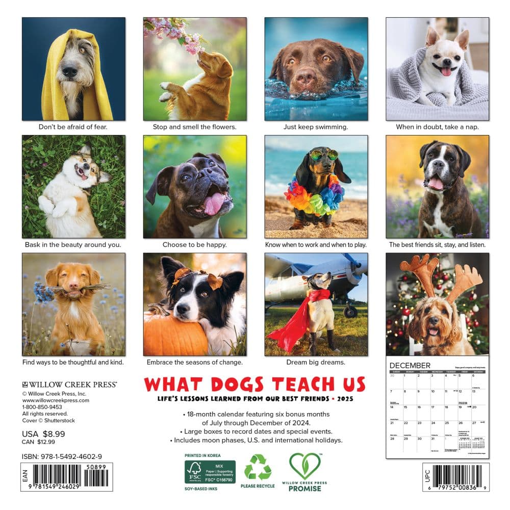 What Dogs Teach Us 2025 Mini Wall Calendar First Alternate Image width=&quot;1000&quot; height=&quot;1000&quot;