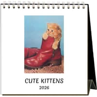 image Cute Kittens Nostalgic 2026 Easel Desk Calendar Main Product Image