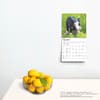 image Piglets 2025 Mini Wall Calendar