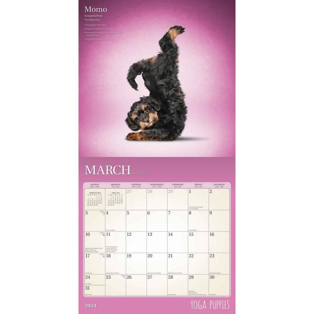 Yoga Puppies 2024 Wall Calendar