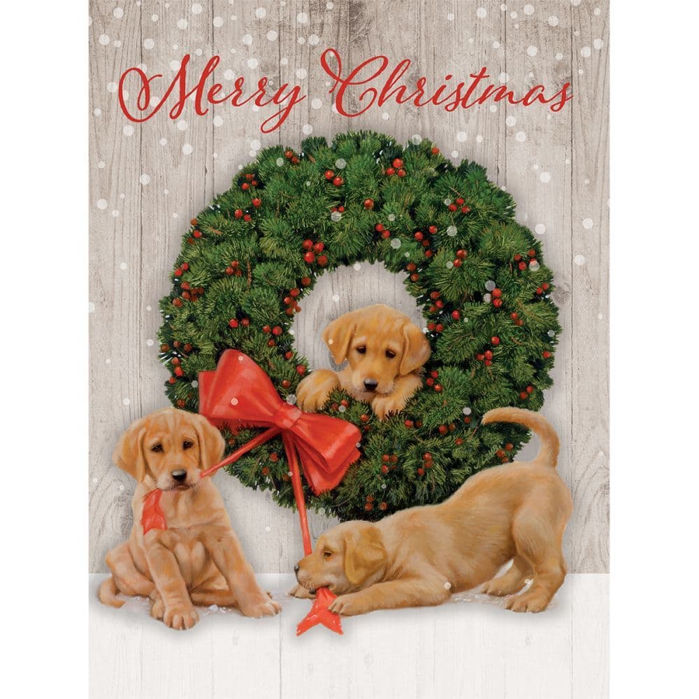 Wonder and Joy Boxed Christmas Cards (18 pack) w/ Decorative Box by Jim