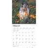 image Collies 2025 Wall Calendar