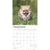 image Pomeranians 2025 Wall Calendar Alt3