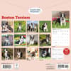 image Boston Terriers 2026 Wall Calendar First Alternate Image