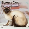 image Cats Siamese 2024 Wall Calendar Main Product Image width=&quot;1000&quot; height=&quot;1000&quot;