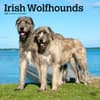 image Irish Wolfhounds 2024 Wall Calendar Main Product Image width=&quot;1000&quot; height=&quot;1000&quot;