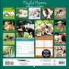 image Puppies Playful Photo 2024 Mini Wall Calendar First Alternate 
Image width=&quot;1000&quot; height=&quot;1000&quot;
