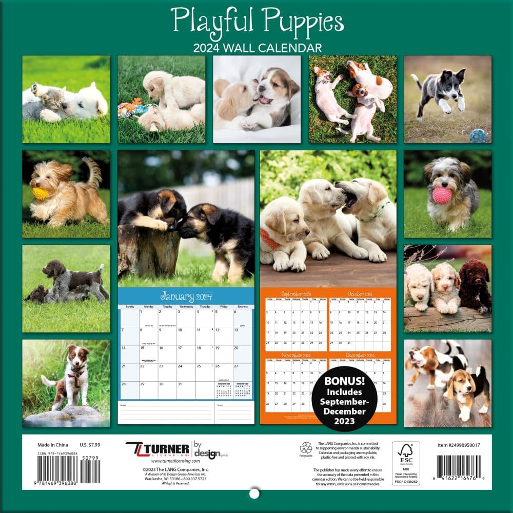 Puppies Playful Photo 2024 Mini Wall Calendar First Alternate 
Image width=&quot;1000&quot; height=&quot;1000&quot;