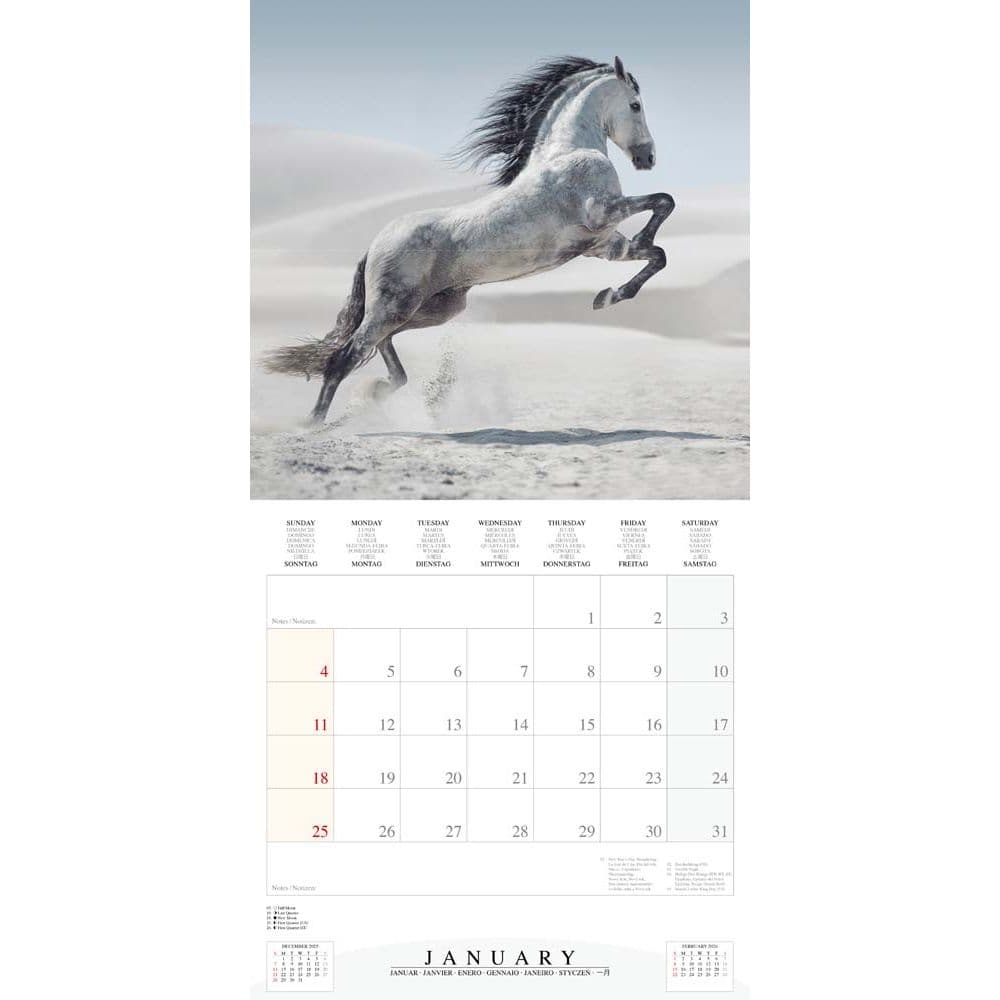 Magic Horses 2026 Wall Calendar Second Alternate Image