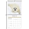 image Baby Animals Photo 2025 Wall Calendar Fifth Alternate Image width="1000" height="1000"