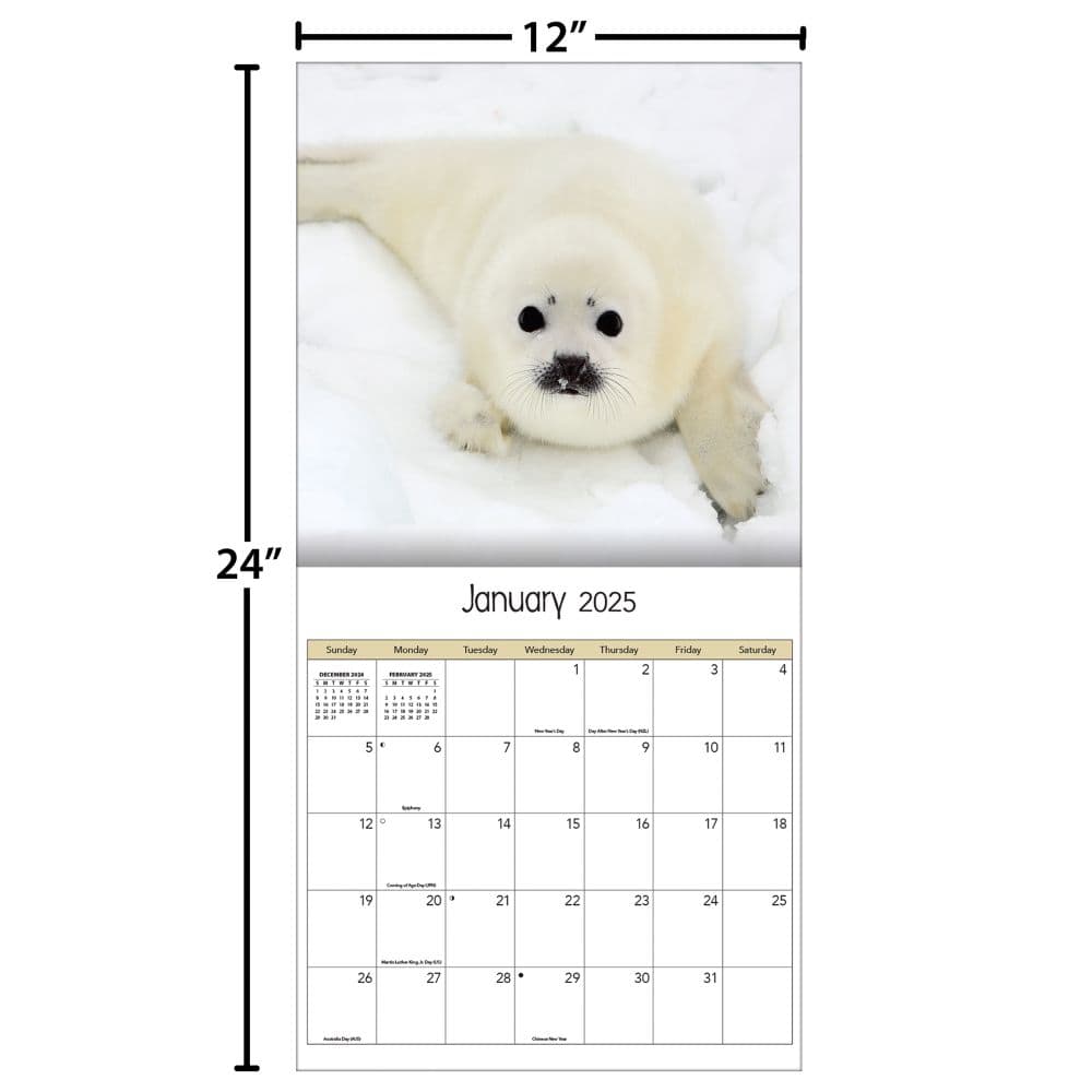 Baby Animals Photo 2025 Wall Calendar Fifth Alternate Image width="1000" height="1000"