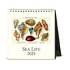 image Sea Life 2025 Easel Desk Calendar Main Image