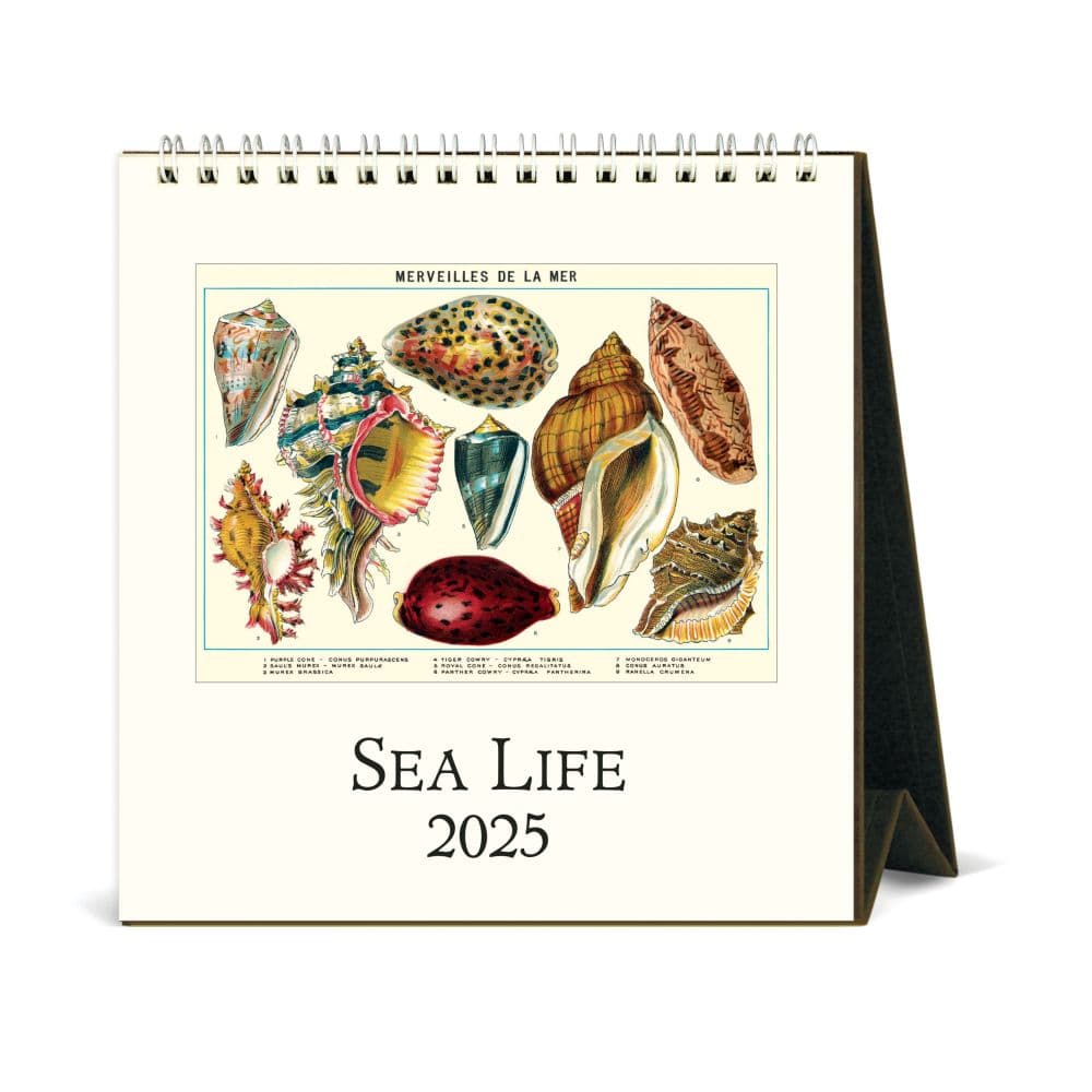 Sea Life 2025 Easel Desk Calendar Main Image