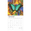 image Butterflies 2025 Wall Calendar