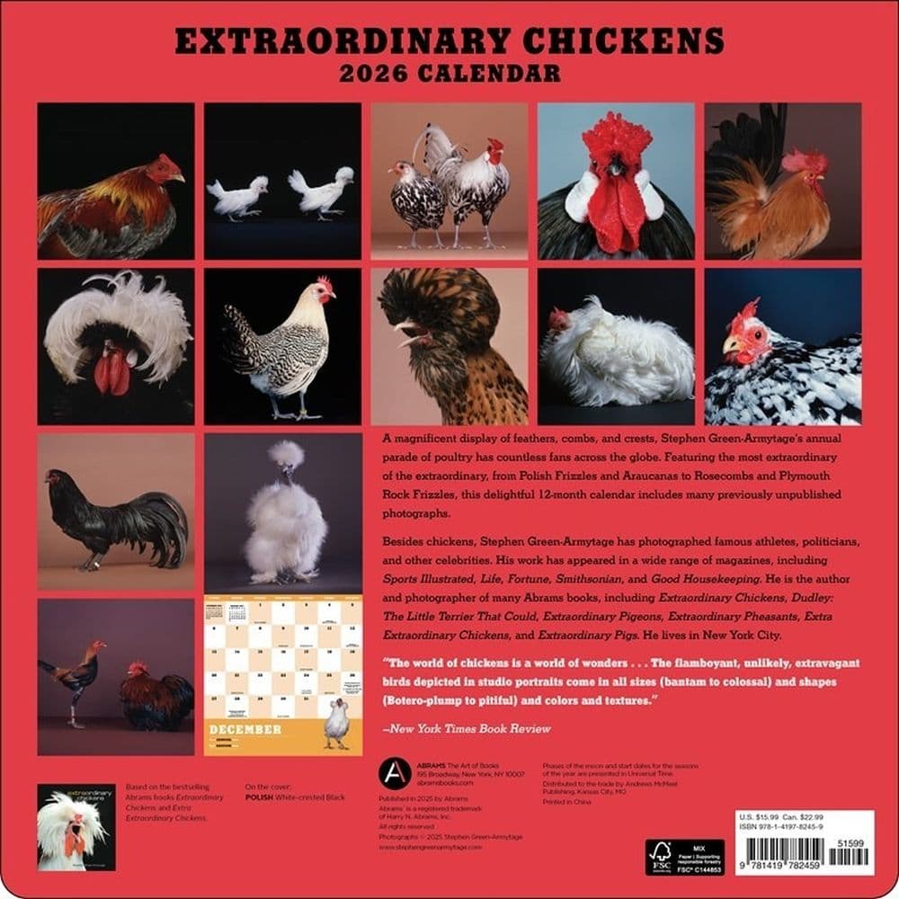 Extraordinary Chickens 2026 Wall Calendar First Alternate Image