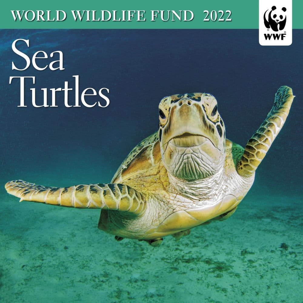 WWF Sea Turtles 2022 Mini Wall Calendar