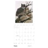 image Birders View Ruthven 2025 Wall Calendar Third Alternate Image width="1000" height="1000"