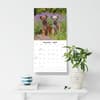 image Border Terriers 2027 Wall Calendar Fifth  Alternate Image