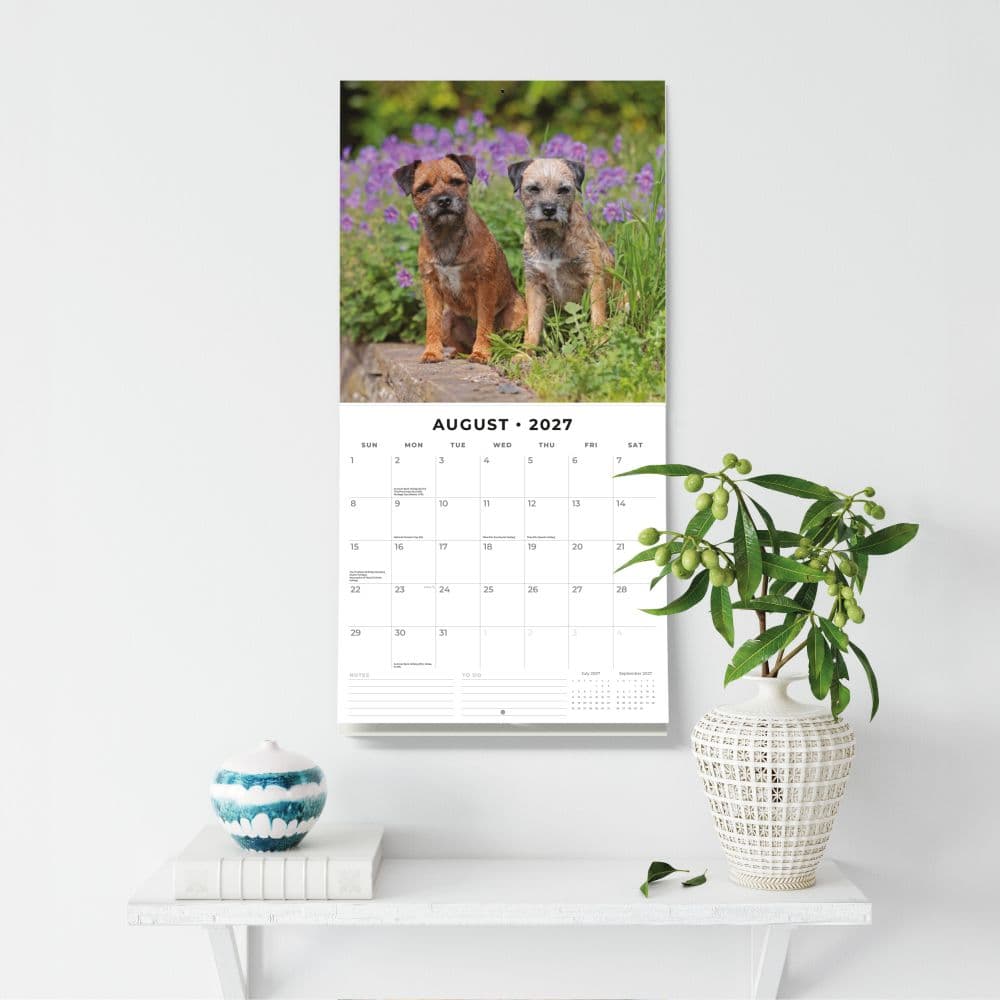 Border Terriers 2027 Wall Calendar Fifth  Alternate Image