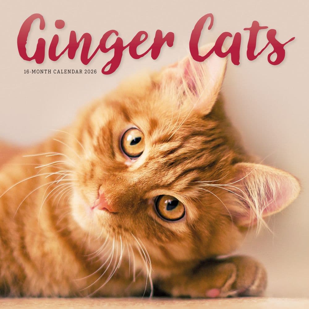 Ginger Cats 2026 Wall Calendar Main Image