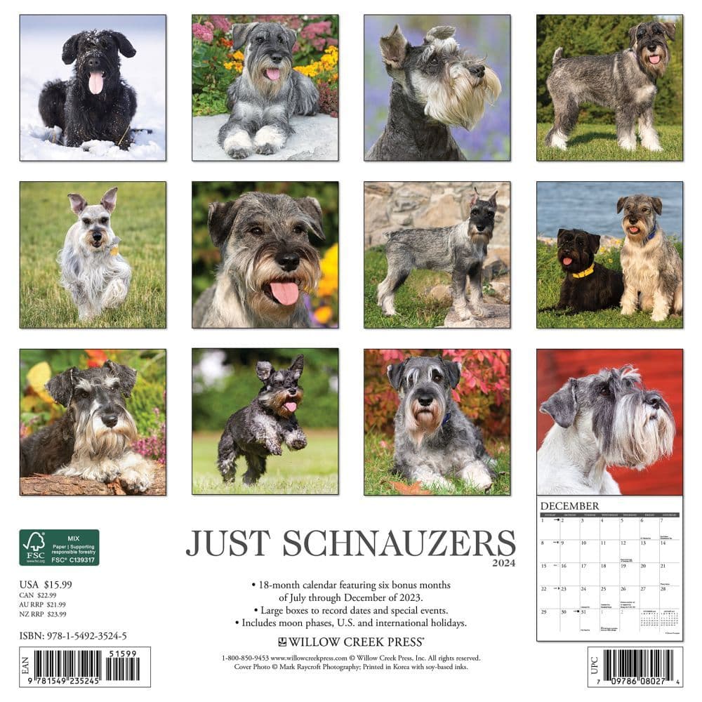 Just Schnauzers 2024 Wall Calendar