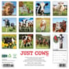 image Just Cows 2025 Wall Calendar