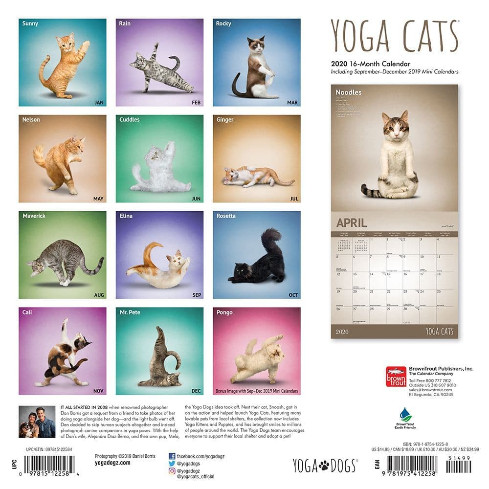 Yoga Cats Wall Calendar