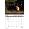 image Elk 2025 Wall Calendar