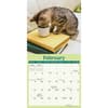 image Curious Kittens 2025 Mini Wall Calendar Second Alternate Image width=&quot;1000&quot; height=&quot;1000&quot;