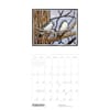 image Hashimoto Birds 2025 Wall Calendar Third Alternate Image width="1000" height="1000"