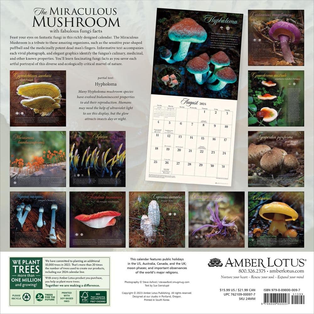 Miraculous Mushroom 2024 Wall Calendar