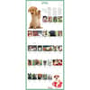image Puppies 365 Days 2026 Wall Calendar Fourth Alternate Image