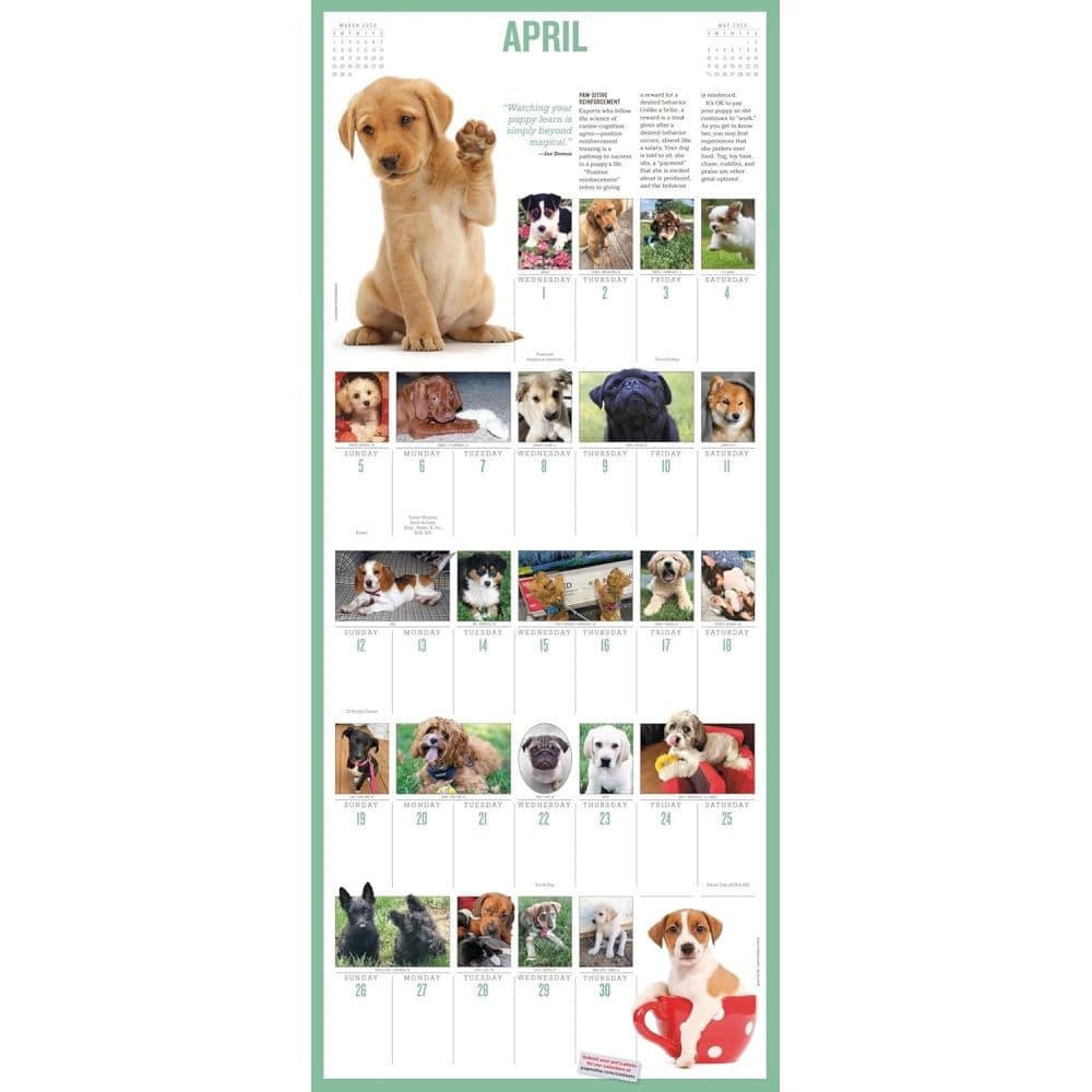 Puppies 365 Days 2026 Wall Calendar Fourth Alternate Image