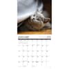 image Cat Rules 2025 Wall Calendar