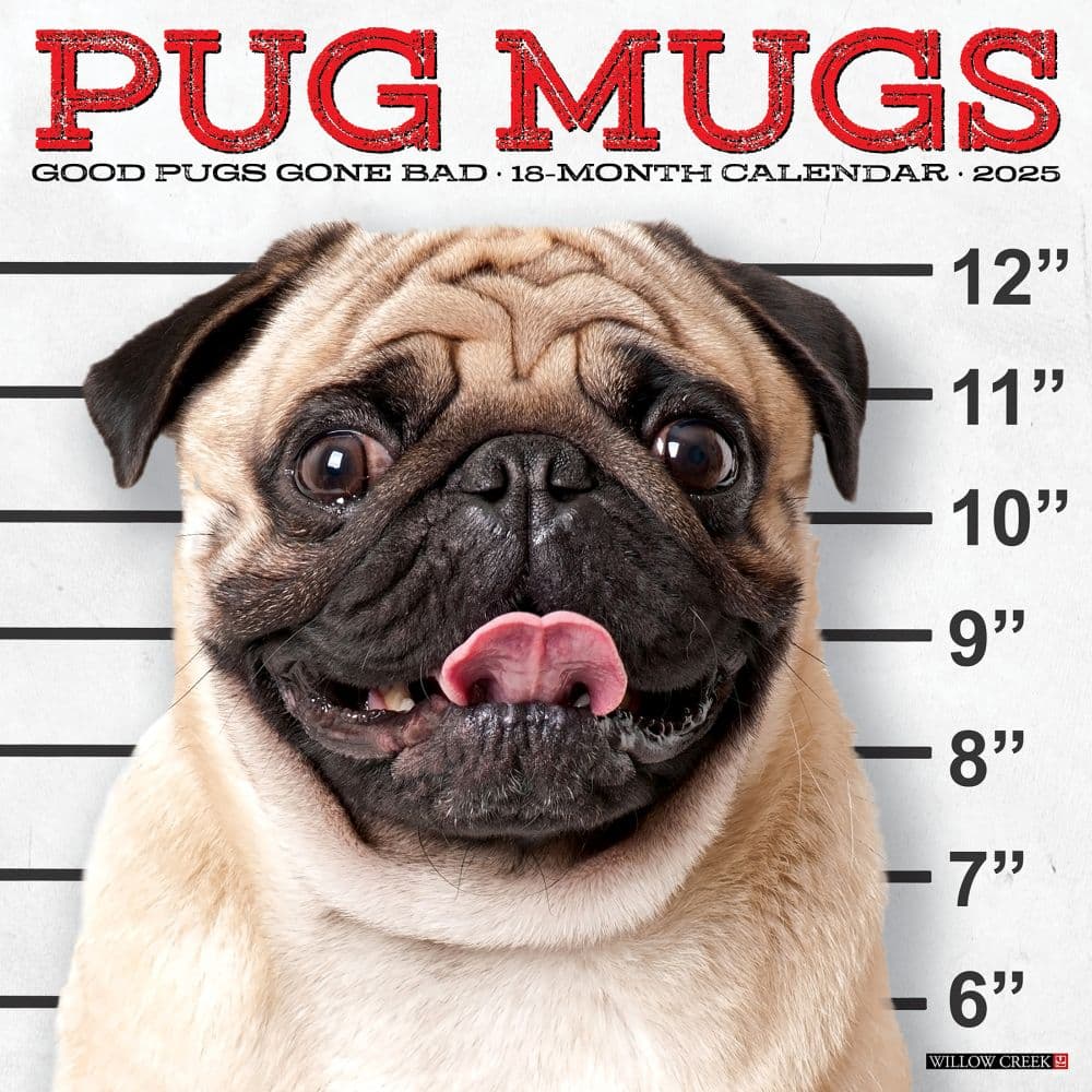 Pug Mugs 2025 Wall Calendar Main Product Image width=&quot;1000&quot; height=&quot;1000&quot;