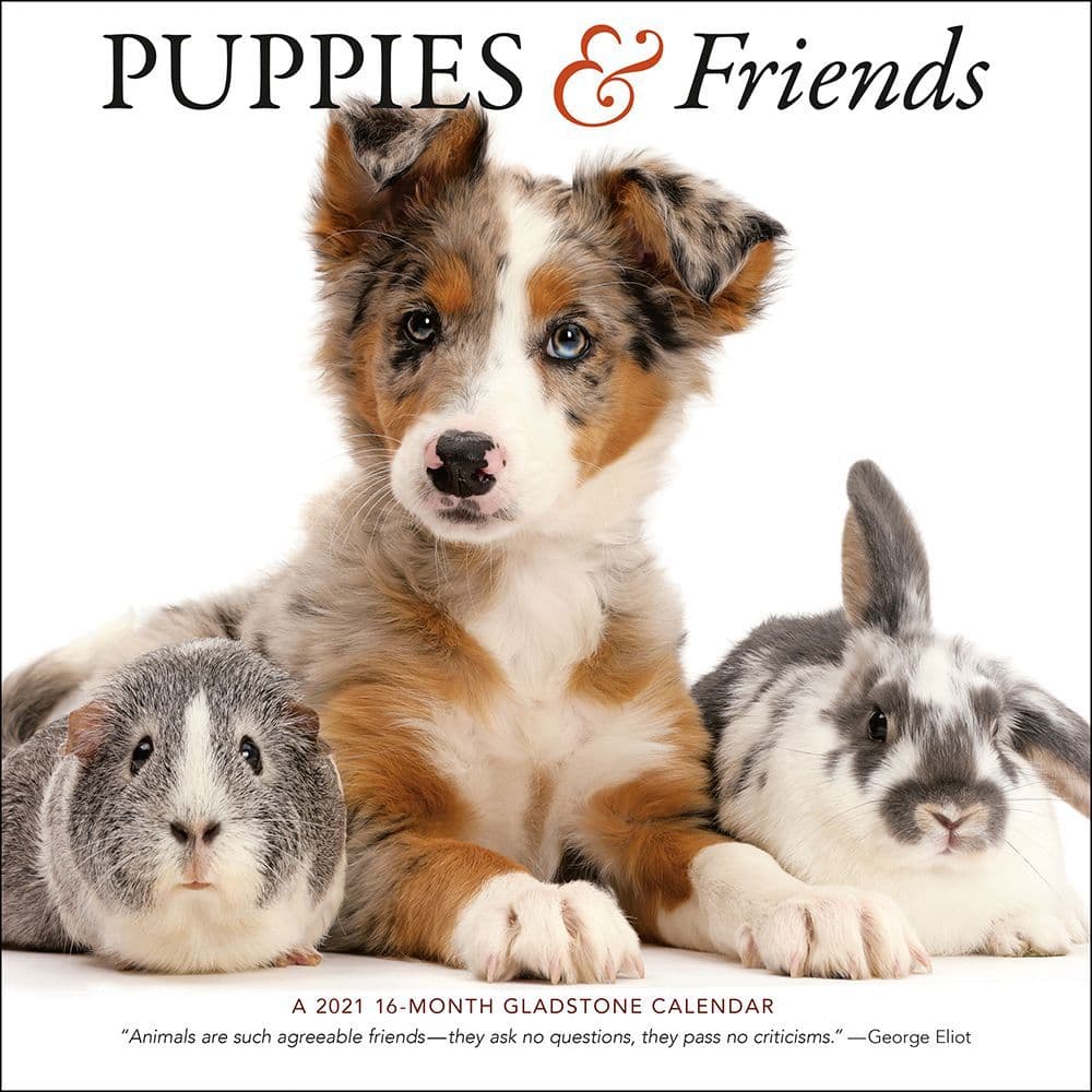 Puppies And Friends Wall Calendar