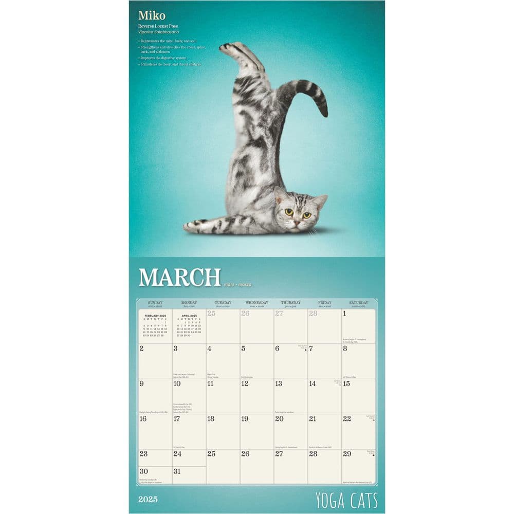 Yoga Cats 2025 Wall Calendar - Calendars.com