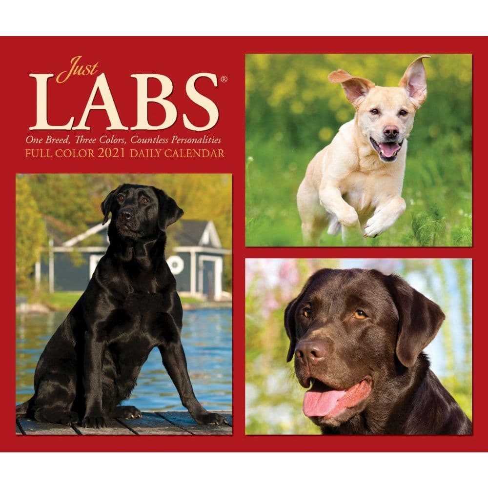 Labs Desk Calendar