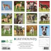 image Just Greyhounds 2025 Wall Calendar First Alternate Image width="1000" height="1000"