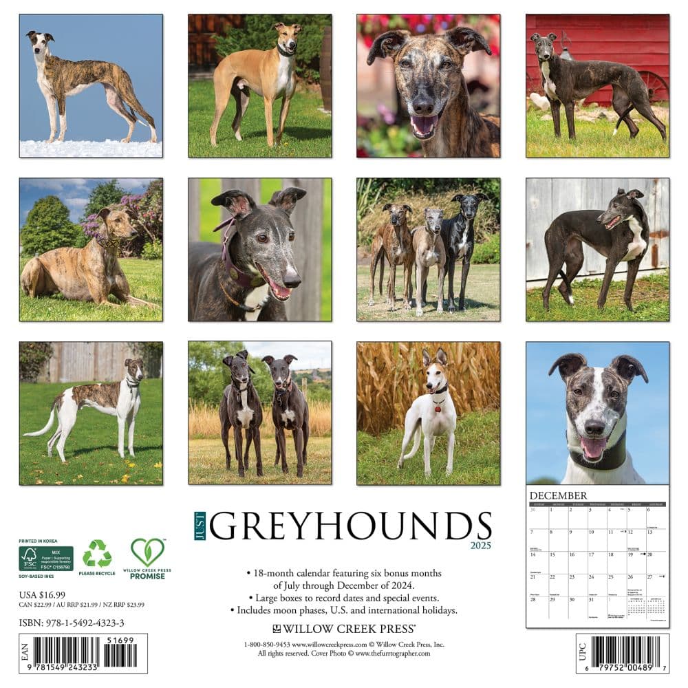 Just Greyhounds 2025 Wall Calendar First Alternate Image width=&quot;1000&quot; height=&quot;1000&quot;