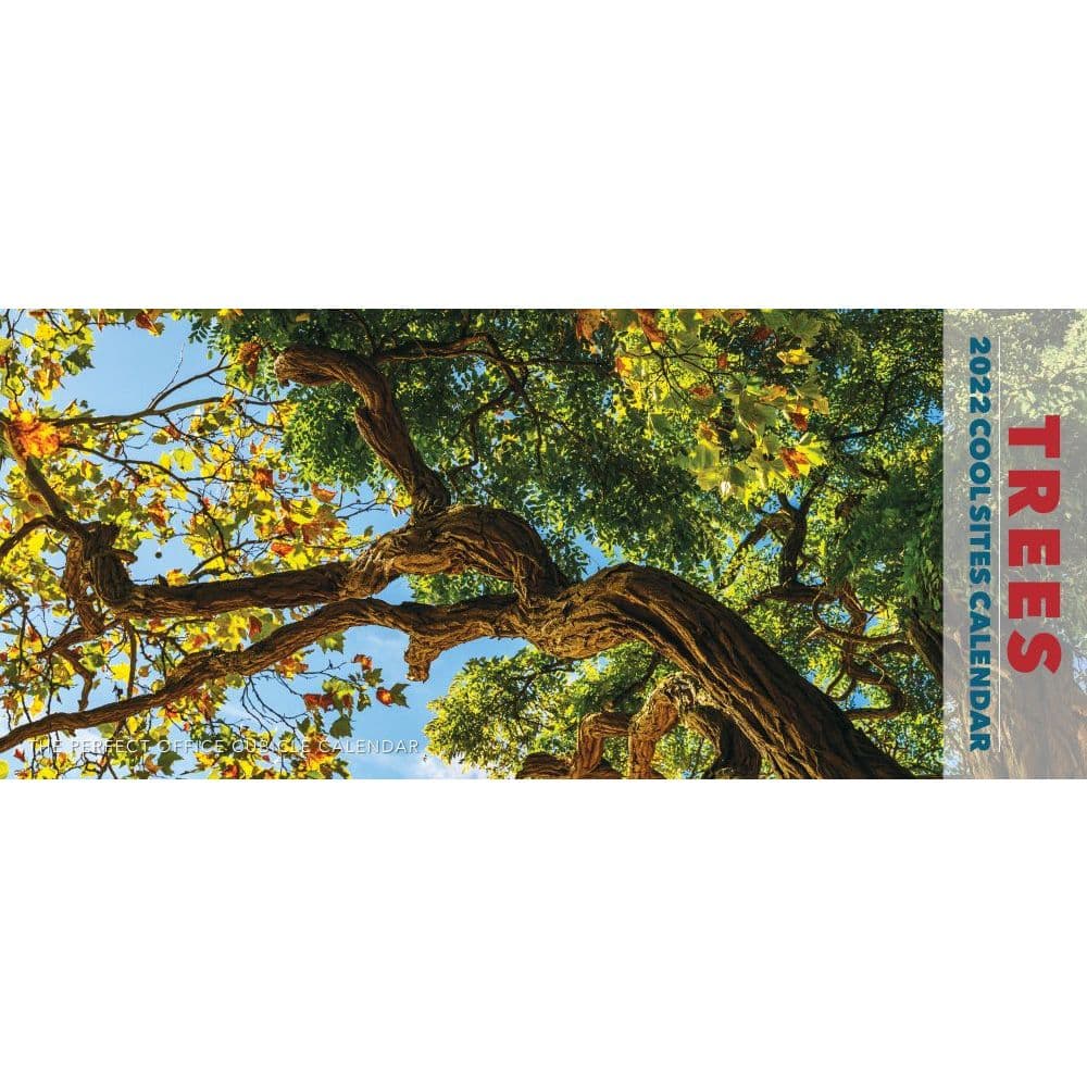 Trees Panoramic 2022 Wall Calendar